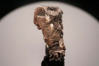Rare Cubic Native Silver Crystal Kongsberg,  Norway - Ex.  Brown