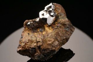 Extraordinary Sperrylite Crystal Cluster Norilsk,  Russia - Ex.  Brown