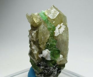 Unbelievable Aesthetic Elongated Gem Tsavorite Garnet Crystal on Diopside 2