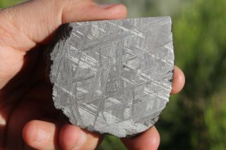 Muonionalusta Meteorite Etched Part Slice 69 Grams
