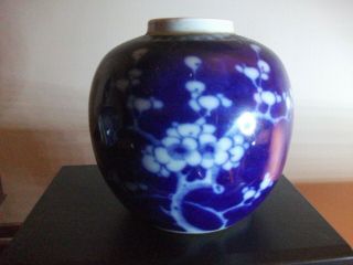 A Good Antique Chinese Blue White Ginger Jar With Cracked Ice And Prunus 5.  5 "