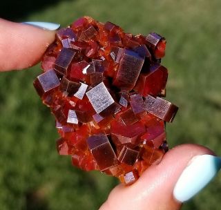 Sweet Glowing Dark Fire Red Vanadinite Crystals On Matrix From Morocco (: (: