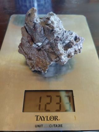 Sikhote Alin Meteorite 1233 Grams Shrapnel Piece 2
