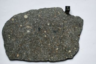 Meteorite L3 Chondrite,  Nwa 12263,  Huge Full Slice 161 Grams