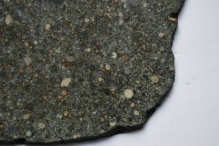 Meteorite L3 chondrite,  NWA 12263,  huge full slice 161 grams 3