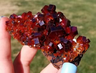 (: Large & Lustrous Cherry Red Vanadinite Crystals On Matrix From Morocco (: