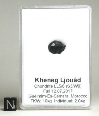 Meteorite Kheneg Ljouad - Fall 2017 - Best Crusted Quality Individual