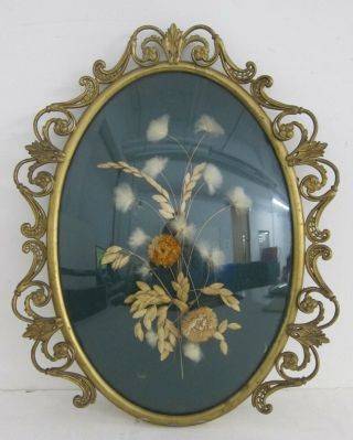 Antique Flower Botanical Specimens Ornate Oval Brass Frame W/ Bubble Glass 13x22