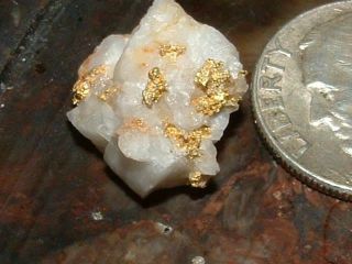 California Gold 1.  9 Gram Gold Quartz Specimen Natural Gold In Quartz