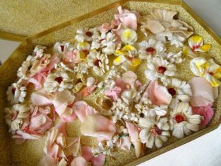 A Stunning Antique French Box Filled With Vintage/antique Flower Heads 1930 