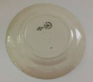 Aesthetic Transfeware Movement Dinner Plate Melbourne G&W Late Mayers c:1861 3
