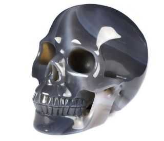 5.  0 " Gray & White Agate Carved Crystal Skull,  Realistic,  Crystal Healing 961