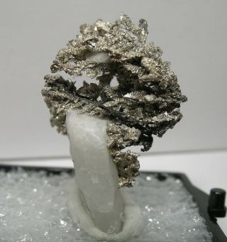 Choice Silver Filigree Crystals In Calcite: Bouismas Mine,  Bou Azer,  Morocco - Nr