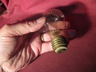 Antique Tipped Peerless Light Bulb W Label