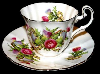 Vintage Adderley English Bone China Teacup And Saucer Set