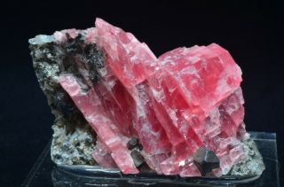 Rhodochrosite W/ Tetrahedrite - Sweet Home Mine,  Alma,  Colorado