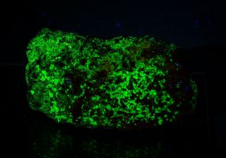 Uranopilite Fluorescent Uranium Mineral Shinkolobwe Mine Dr Congo 54mm 98gr