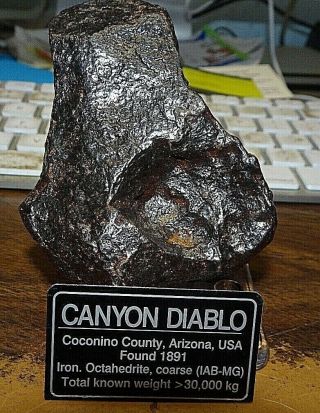 390 Gm.  Canyon Diablo Iron Meteorite ;museum Grade With Stand And Label.  9 Lbs