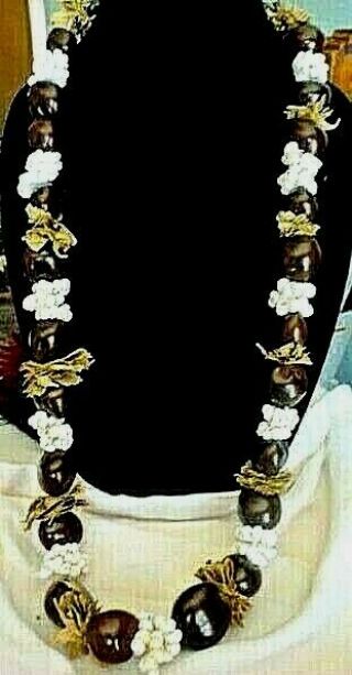 Hawaiian Lei Necklace Of Kukui Nuts White Mongo Shells And Leaves