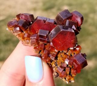 Wow Large Lustrous Dark Fire Red Vanadinite Crystals On Matrix From Morocco (: