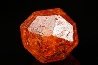 Extraordinary Gem Orange Spessartine Garnet Crystal Loliondo,  Tanzania