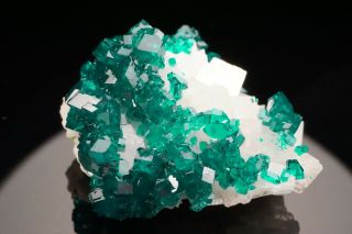 EXCEPTIONAL Dioptase & Calcite Crystal Cluster TSUMEB,  NAMIBIA 3