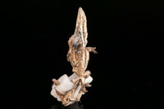 Exceptional Native Silver Crystal With Calcite Batopilas,  Mexico