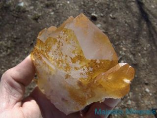 HUGE WORLD CLASS TABBY _ Spectacular OPTICAL CLEAR Arkansas Quartz Crystal 3