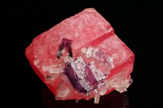 Aesthetic Rhodochrosite With Purple Fluorite & Quarz Cluster Sweet Home Mine,  Co