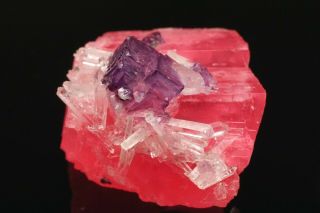 AESTHETIC Rhodochrosite with Purple Fluorite & Quarz Cluster SWEET HOME MINE,  CO 3