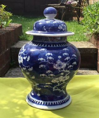 Vintage Chinese Blue & White Porcelain Prunus Vase & Cover.