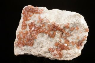 Fluorapatite Crystal Cluster Foote Mine,  North Carolina