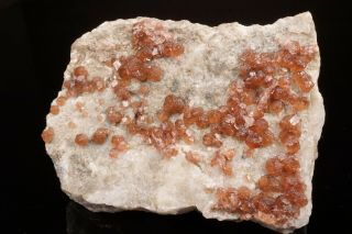 Fluorapatite Crystal Cluster FOOTE MINE,  NORTH CAROLINA 2