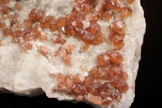 Fluorapatite Crystal Cluster FOOTE MINE,  NORTH CAROLINA 3