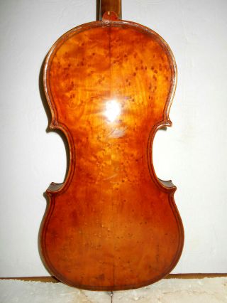Vintage Antique Old " Maggini " Birds Eye Maple 2 Pc.  Back Full Size Violin - Nr