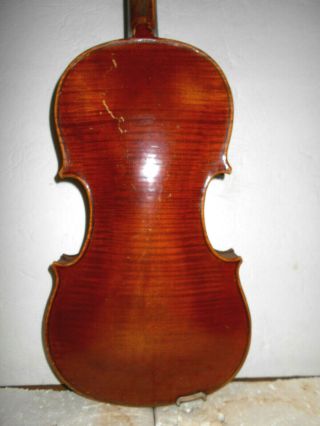 Vintage Antique Old " Jacobus Stainer " 1 Pc.  Back Full Size Violin - Nr