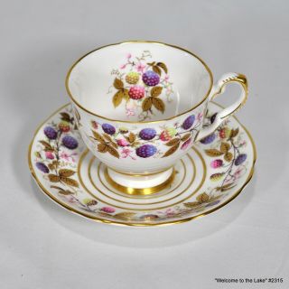 Royal Stafford,  Bone China Tea Cup And Saucer,  " Golden Bramble ",  England