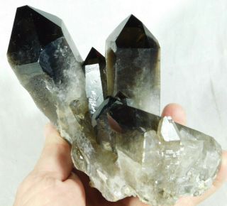 Nine Points On This Big Smoky Quartz Crystal Cluster From Brazil 1131gr E