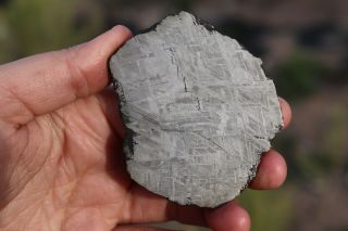 Muonionalusta Meteorite Etched Full Slice 131 Grams