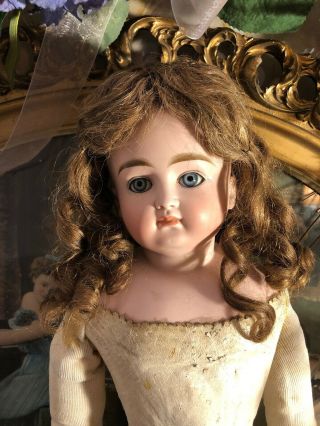 Wonderful Antique Brown Human Hair Doll Wig W/vintage Pate