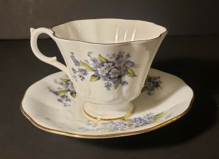 Forget - Me - Not Floral Teacup And Saucer Queen Anne Of England