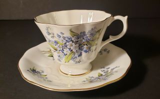 Forget - me - not Floral Teacup and Saucer Queen Anne of England 2
