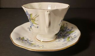 Forget - me - not Floral Teacup and Saucer Queen Anne of England 3