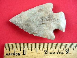 Fine Authentic 2 7/8 inch Missouri Lost Lake Point Indian Arrowheads 2