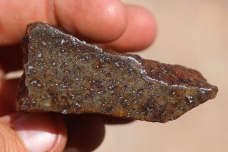 Gold Basin Meteorite End Cut 72 Grams