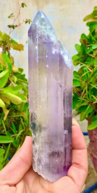 503 Gram Top Quality Damage Terminated Bi Color Kunzite Crystal 2