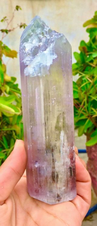 503 Gram Top Quality Damage Terminated Bi Color Kunzite Crystal 3