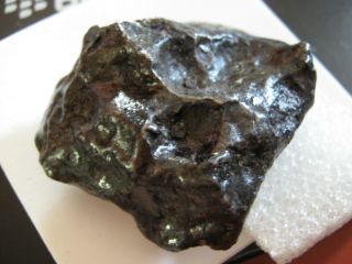 Classic Premium 141 Gm Campo Del Cielo Iron - Nickel Meteorite Thumbprint Loaded