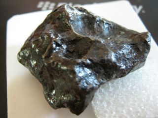Classic Premium 141 gm Campo Del Cielo Iron - Nickel Meteorite Thumbprint Loaded 3
