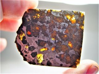 MUSEUM QUALITY CRYSTALS BRAHIN PALLASITE METEORITE 16.  1 GMS 2